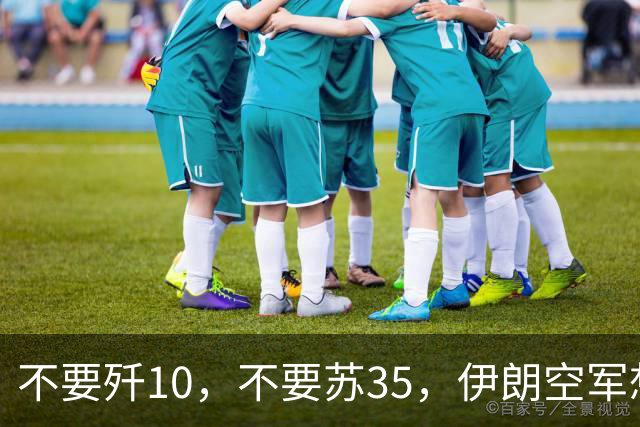 不要歼10，不要苏35，伊朗空军想要国产重型战斗机，替换中美俄法