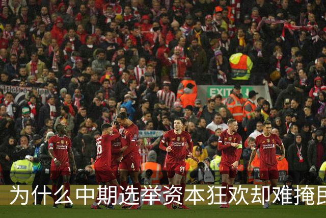 为什么中期选举资本狂欢却难掩民主隐忧？