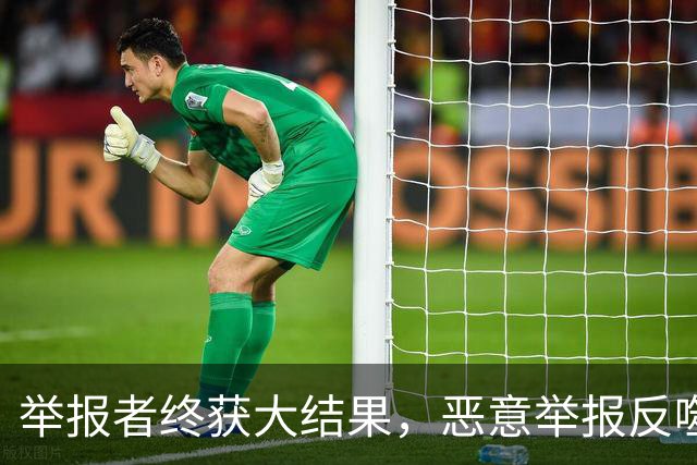举报者终获"大结果"，恶意举报反噬自身