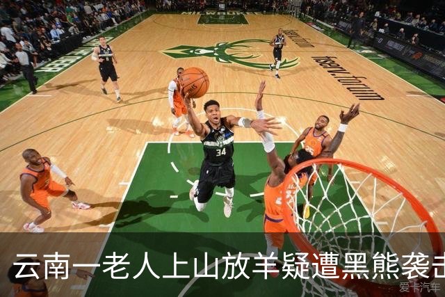 云南一老人上山放羊疑遭黑熊袭击身亡，当地：被找到时已无生命体征，死因有待最终鉴定