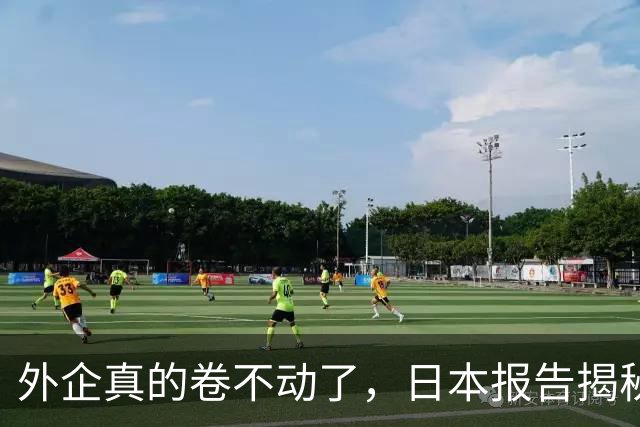 外企真的卷不动了，日本报告揭秘，，中国逼走，4000，家日企，，换来了什么
