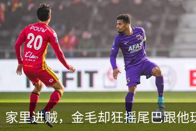 家里进贼，金毛却狂摇尾巴跟他玩。主人看完气笑了：你就这么看家啊？