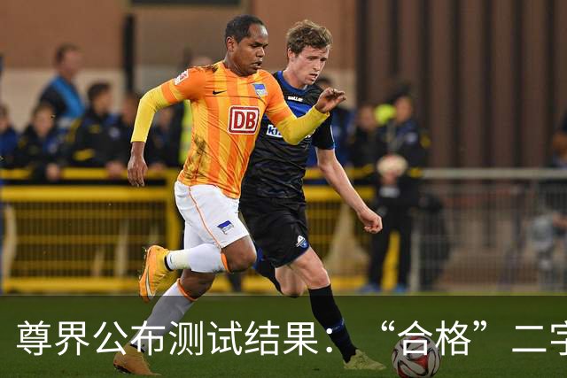 尊界公布测试结果：“合格”二字，能堵住刹车断裂的追问吗？