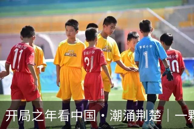 开局之年看中国•潮涌荆楚｜一颗橙，250亿元！三峡库首结出“黄金果”