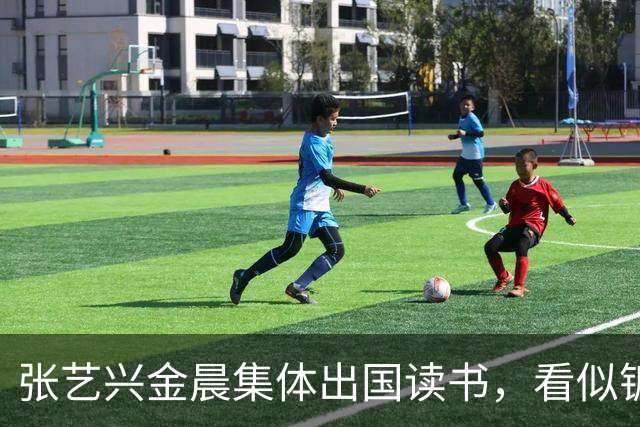 张艺兴金晨集体出国读书，看似镀金深造，其实就是没活干了