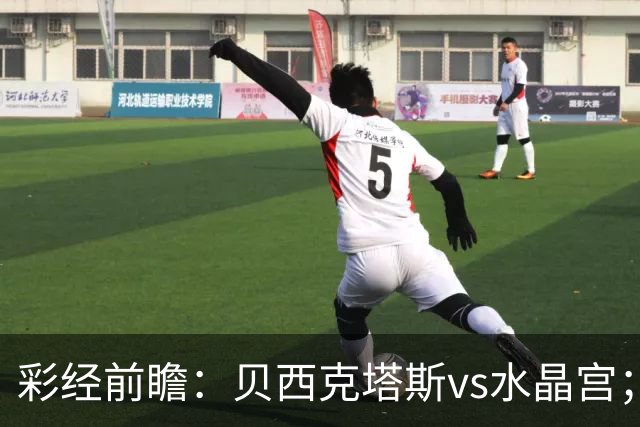 彩经前瞻：贝西克塔斯vs水晶宫；首选主胜，次选平局