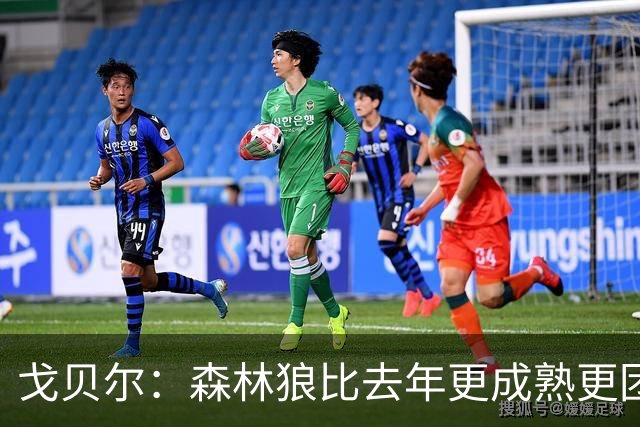戈贝尔：森林狼比去年更成熟更团结 希望到五六月能应对任何挑战