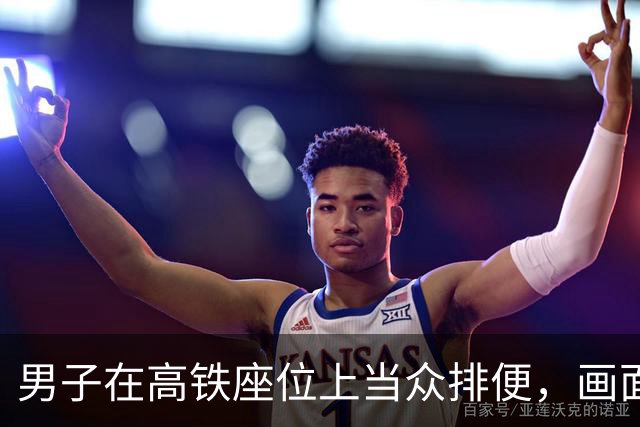 男子在高铁座位上当众排便，画面不忍直视，乘务员拿着纸巾、垃圾袋紧急处理现场