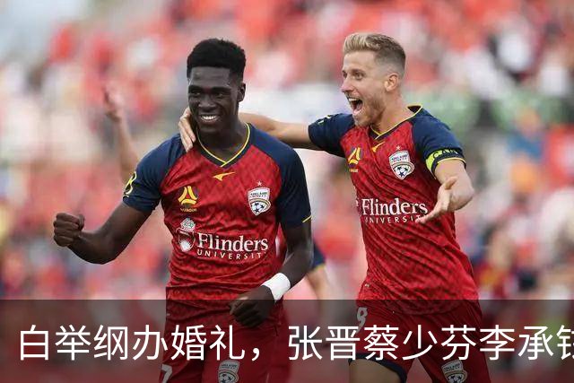 白举纲办婚礼，张晋蔡少芬李承铉海泉都来了，这朋友圈真够铁！