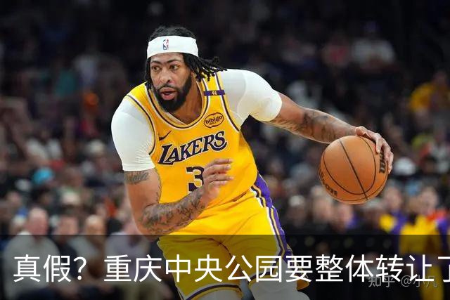真假？重庆中央公园要整体转让了？？？