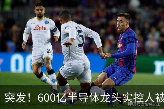 突发！600亿半导体龙头实控人被刑拘，58万股东心发慌