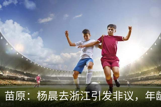 苗原：杨晨去浙江引发非议，年龄和工作经历不符合条件