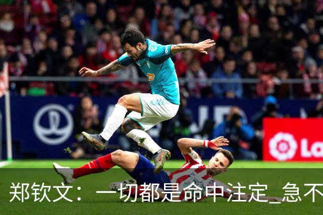 郑钦文：一切都是命中注定 急不来