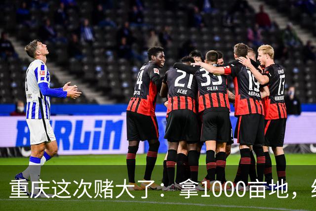 重庆这次赌大了：拿1000亩地，给无人机修所大学！