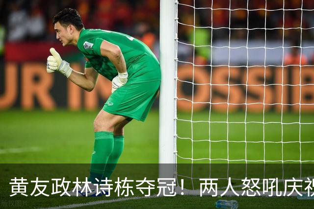 黄友政林诗栋夺冠！两人怒吼庆祝，林诗栋炫耀胸口国旗，张本蔫了