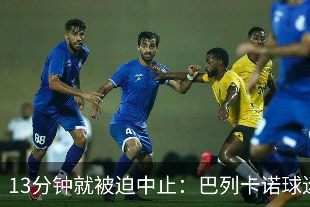 13分钟就被迫中止：巴列卡诺球迷用纸飞机把主席逼到台前