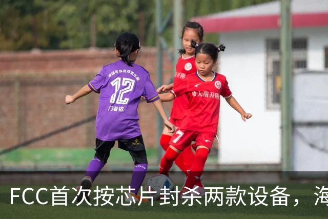 FCC首次按芯片封杀两款设备，海思SoC成焦点
